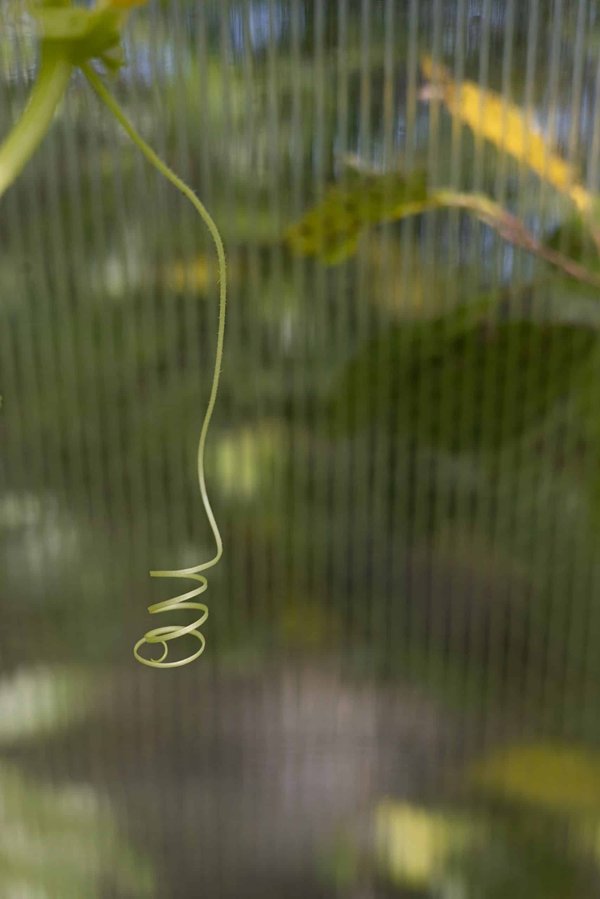 Comment adapter une entreprise de tourisme à l'évolution des attentes des consommateurs post-pandémie ?